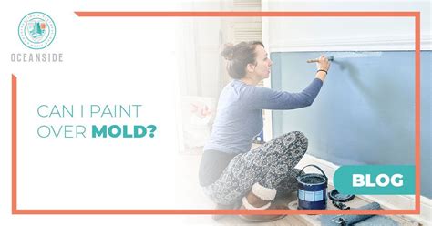 Can I Paint Over Mold?