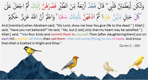 Birds Mentioned in Quran - Learn Quran Online