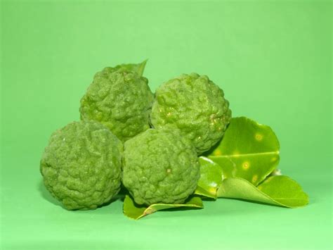 Bergamot Fruit Free Stock Photo - Public Domain Pictures