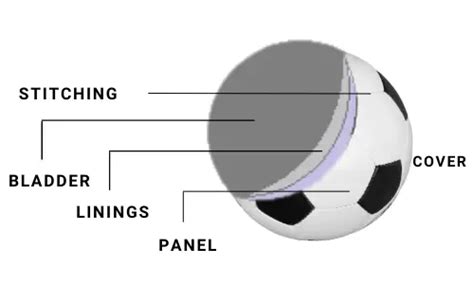 What Is A Soccer Ball Made Of? Construction, Material, & History