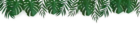 Palm Leaf Border Vector Art, Icons, and Graphics for Free Download