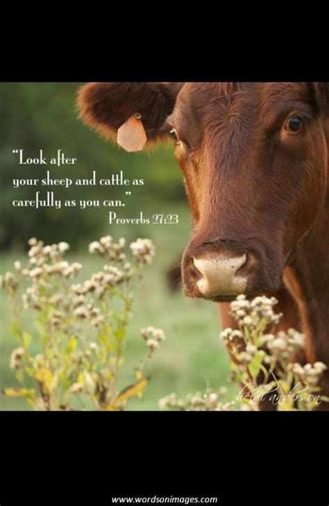 Cow I Love Quotes. QuotesGram