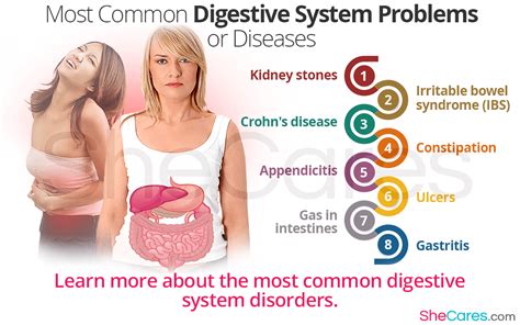 Most Common Digestive System Problems or Diseases | SheCares