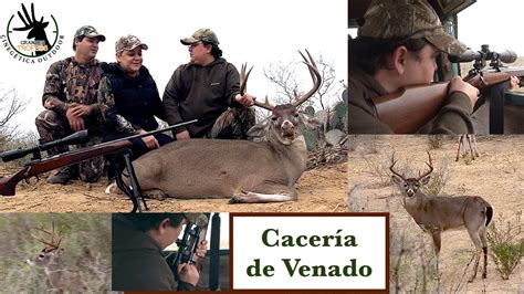 Cacería de Venado Colablanca con Rifle en Grandes Trofeos - YouTube