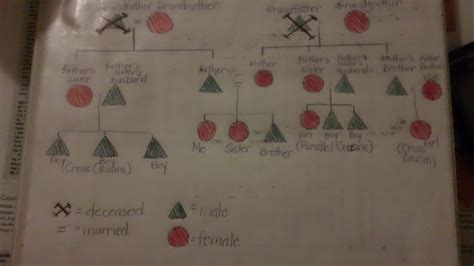 Kinship Diagram Generator