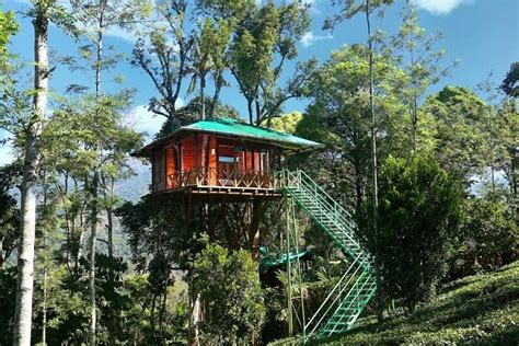 15 Cottages In Munnar For Homelike Comfort And Luxury