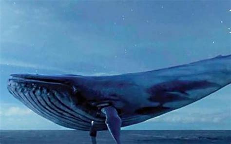 The truth about Blue Whale | WIRED UK