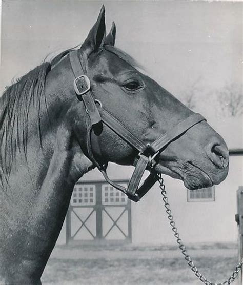 The Greatest Race Horse of All-Time Didn't Win the Kentucky Derby