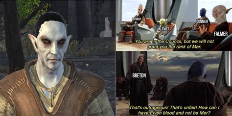 Elder Scrolls: 9 Hilarious Dunmer Memes