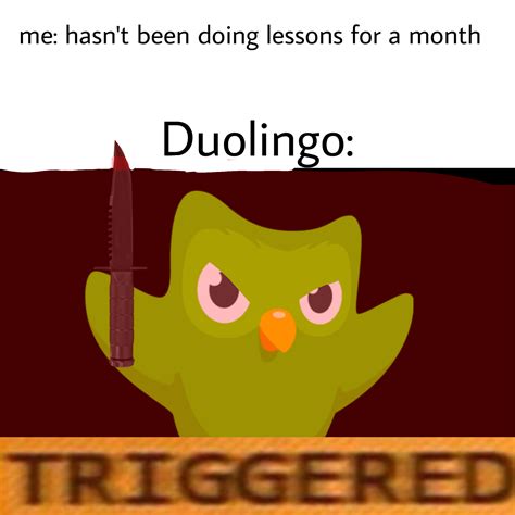 Duolingo Memes Family