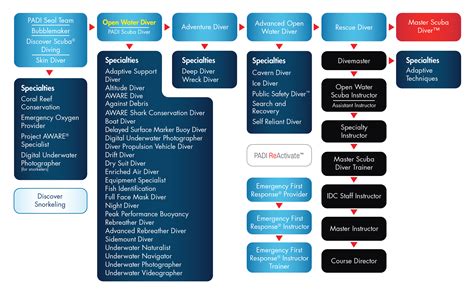 PADI Divemaster and PADI Master Scuba Diver - What's the Difference?