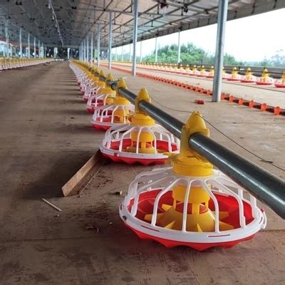 Broiler Farming House Equipments System Pullets Chicken Layer Poultry Farming House Equipment ...