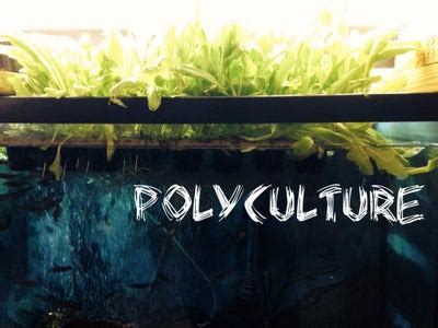 Aquaponics + Trout in the Classroom : 4 Steps - Instructables