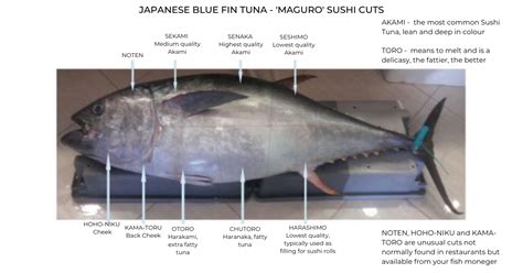 Blue Fin Tuna Sushi Cuts Explained