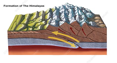 What Caused The Formation Of The Himalayas