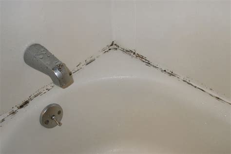 Bathroom Mold | How to Kill Bathroom Mold | Mold on Bathroom Ceiling