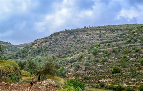 Cultural Landscape of Southern Jerusalem, Battir - AYERS IN THE AIR