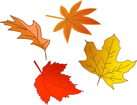 Leaf Autumn | Free Stock Photo | Illustration of colorful autumn leaves ...