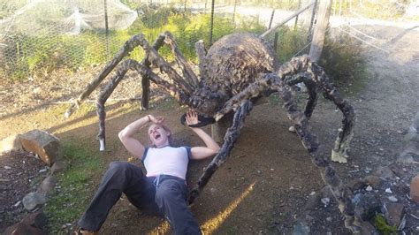 Building a Giant Spider | The House That Worked Out Halloween Entryway ...