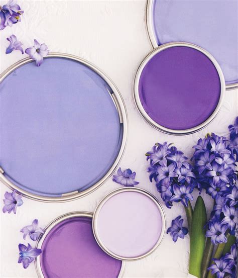 Everything You Need To Know About Lilac Color Paint - Paint Colors