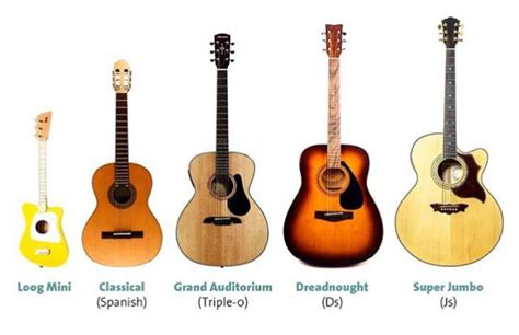 Different types of Acoustic guitar : r/coolguides