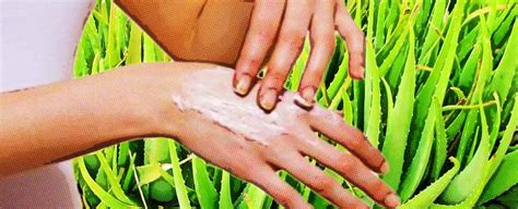 Eczema atópico: remedios caseros para la dermatitis