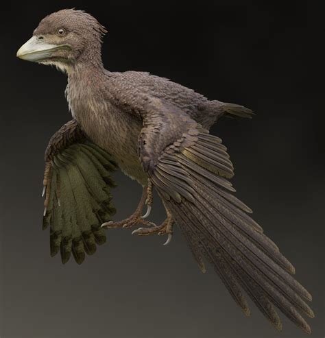 Stunning Fossil Discovery Uncovers the Second-Most Primitive Flying Bird | Gizmodo UK