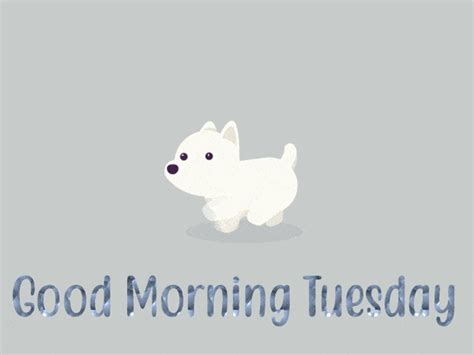 Good Morning Happy Tuesday GIFs | GIFDB.com