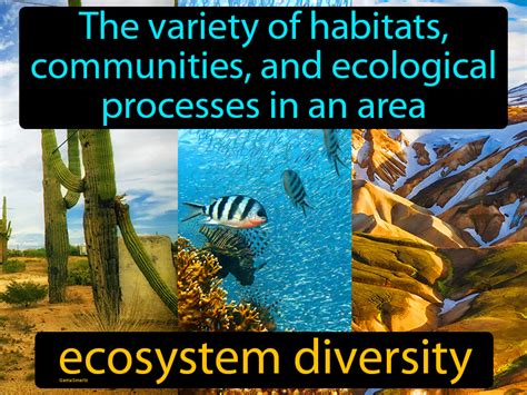 Ecosystem Diversity Definition - Easy to Understand