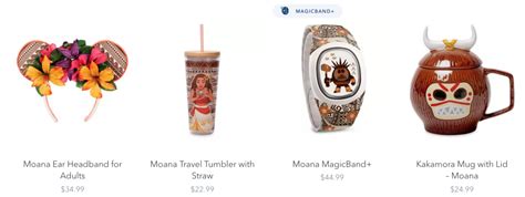 New Disney Merch: Moana, Disney Parks, Ornaments & More