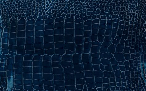 Alligator Skin Wallpaper - WallpaperSafari