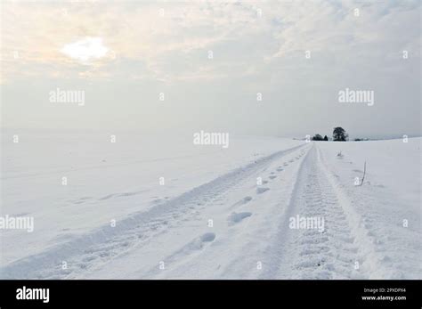 A winter landscape with a path and tracks, winter in Germany Stock Photo - Alamy