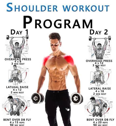 🚨 SHOULDER WORKOUT PROGRAM GUIDE Your Shoulder Muscles Ok, so we can’t start to build up the ...