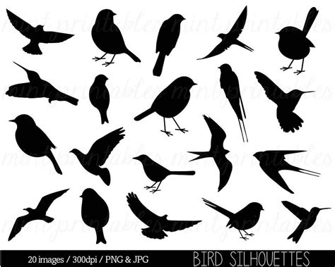 Bird Clipart Clip Art, Bird Silhouette Clipart, Cute Bird, Animal Clipart, Swallow, Sparrow ...