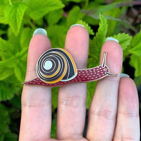 Pacific Sideband Snail Pin