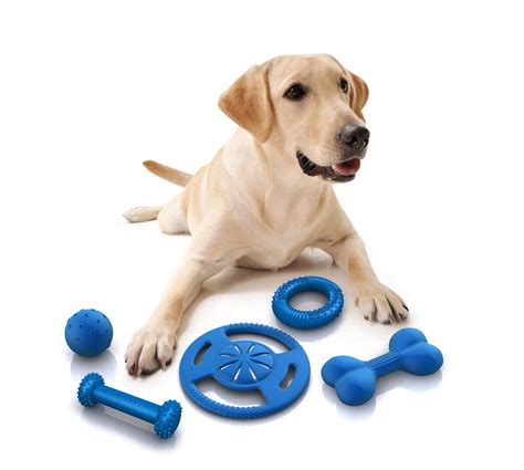 The most charming dogs in the world!: Toys for dogs!