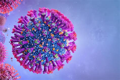 Study finds rhinovirus reduces SARS-CoV-2 replication in airway epithelial cells