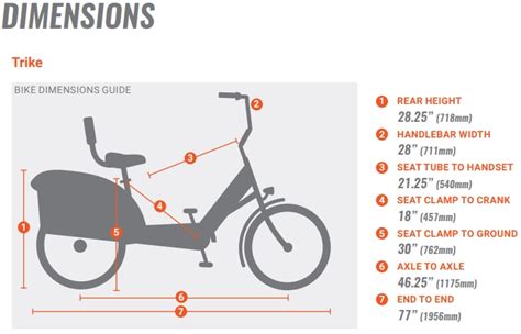 Pedego Trike Review — The Best Electric Trike Money Can Buy?