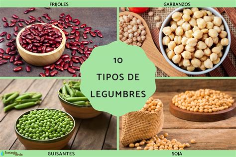 10 tipos de legumbres - Nombres, características y fotos