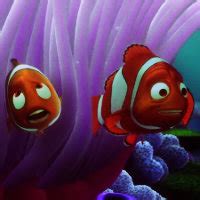 Finding Nemo ☆ - Finding Nemo Icon (35333316) - Fanpop