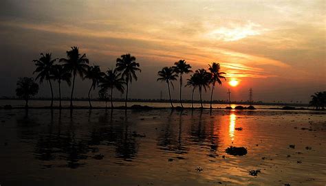 Ashtamudi Lake or Ashtamudi Kayal - Trip2kerala