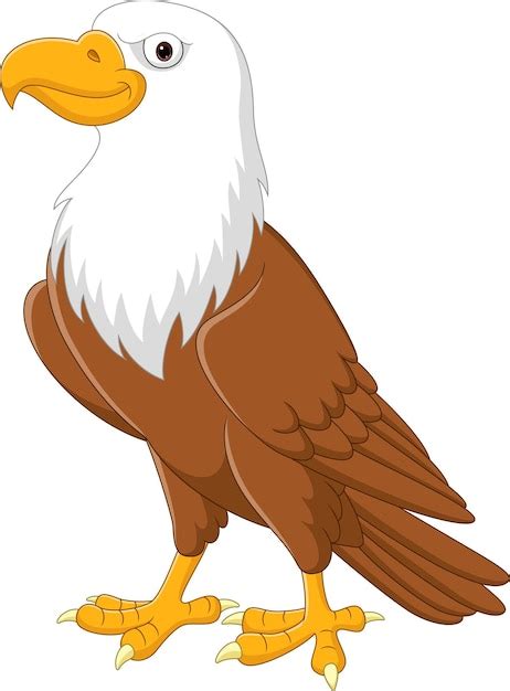 Premium Vector | Cartoon eagle on white background