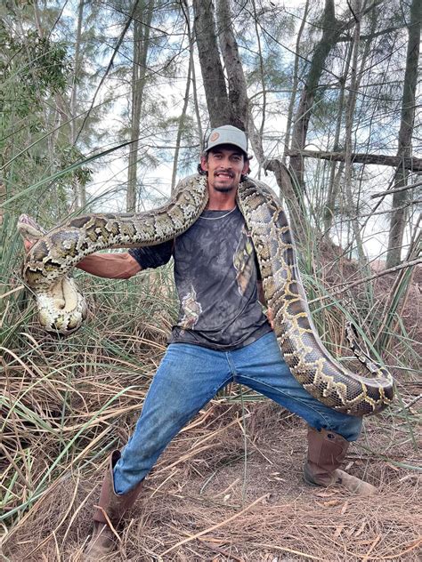 Hunting Burmese Pythons in the Everglades - Hernando Sun