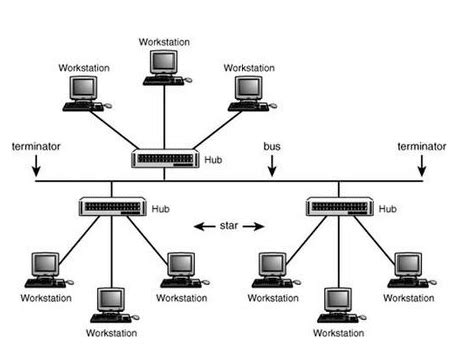 A Guide to Tree Topology. Definition, Practices, and Importance ...