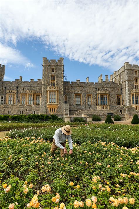 The Queen Is Offering A Rare Look Into Her Secret Windsor Castle Garden | British Vogue