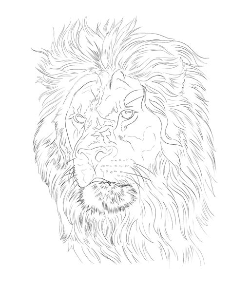 Pin by Keith on Tattoo drawings | Lion head tattoos, Lion art tattoo, Big cat tattoo