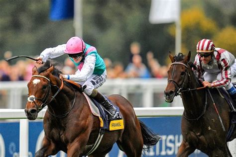 Frankel Photos, Posters & Prints | Horse Racing Photos