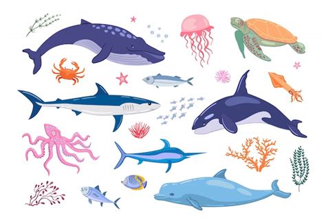 Free Vector | Various marine animals flat icon set