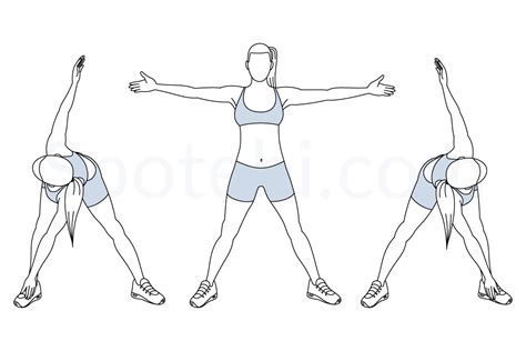 Bent Over Twist | Illustrated Exercise Guide