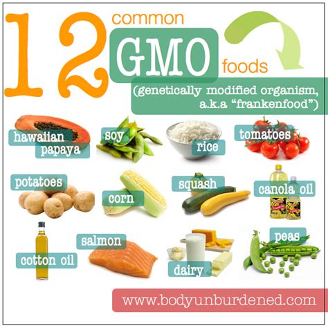 9 Most Common Genetically Modified Foods (GMOs) | Body Unburdened | Benefits of organic food ...